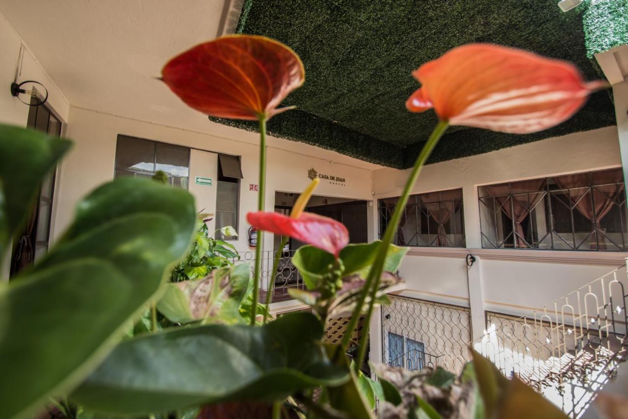 Casa De Juan Hostal Τζαλάπα Εξωτερικό φωτογραφία